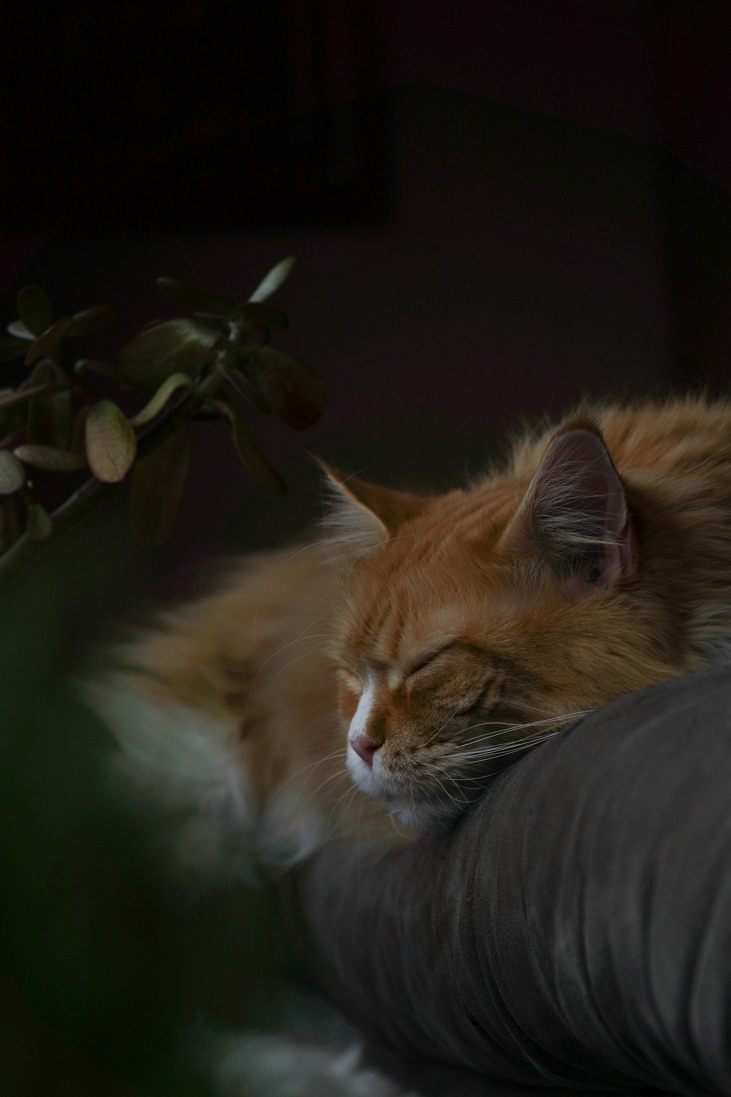 Warum Nachhaltigkeit im nordischen Design wichtig ist